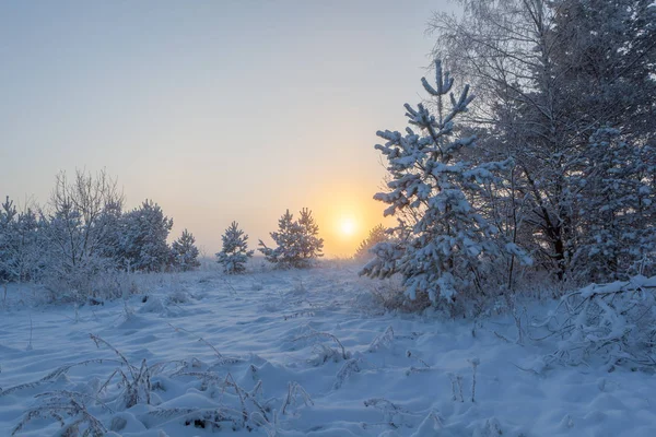 霧深い朝の太陽は冬の牧草地の上に昇る 冬景色 — ストック写真