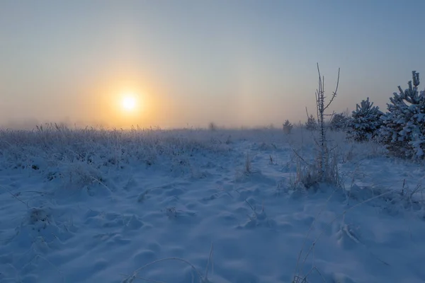 Nebelige Morgensonne Steigt Über Der Winterwiese Auf Winterlandschaft — Stockfoto