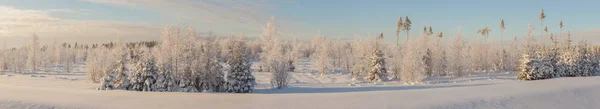 Ледяной День Лесной Поляне Зимний Пейзаж — стоковое фото