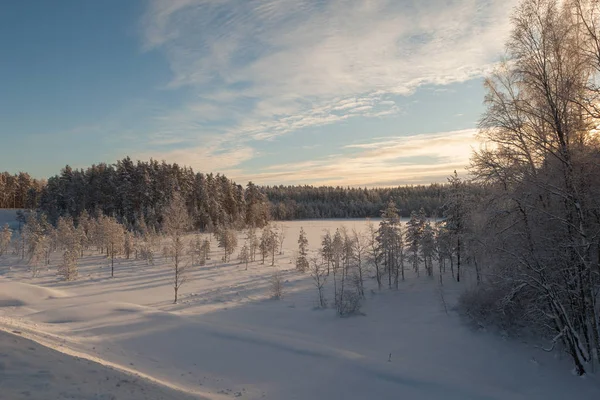 Frosty Dag Een Bos Glade Winterlandschap — Stockfoto