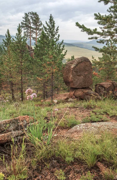 Stone on a stone. Summer landscape — Stock Photo, Image