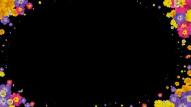 Çiçek geçiş bitki yaprağı çiçeklenme yaz Bahçe döngü 4k