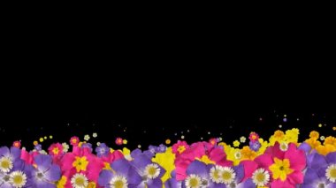 Çiçek geçiş bitki yaprağı çiçeklenme yaz Bahçe döngü 4k