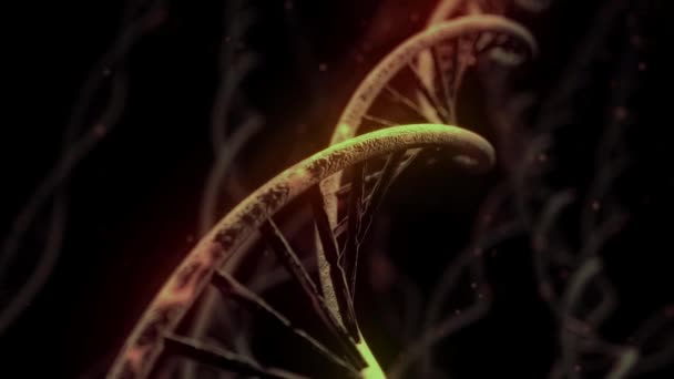 DNA spinning RNA dubbel helix långsam vetenskap elektronmikroskop närbild dof 4K — Stockvideo