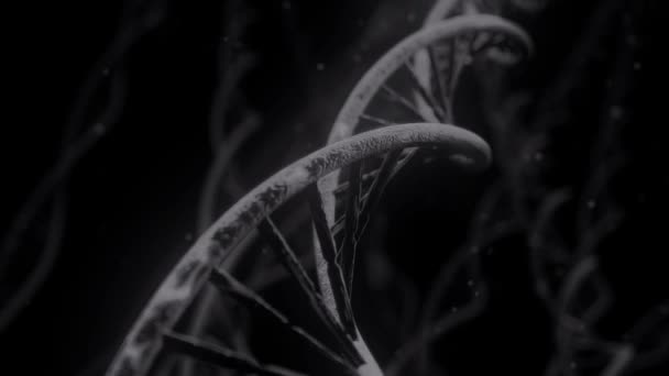 ADN girando ARN doble hélice ciencia lenta microscopio electrónico primer plano dof 4K — Vídeo de stock