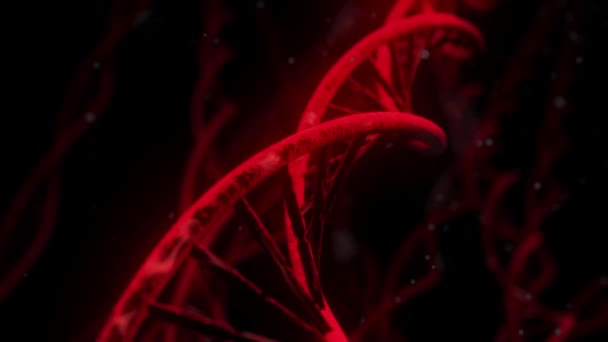 ADN girando ARN doble hélice ciencia lenta microscopio electrónico primer plano dof 4K — Vídeos de Stock