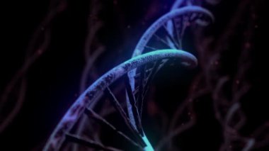 DNA döndürme RNA çift sarmal yavaşlayan elektron mikroskobu 4K yakın çekim