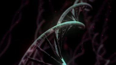 DNA döndürme RNA çift sarmal yavaşlayan elektron mikroskobu 4K yakın çekim