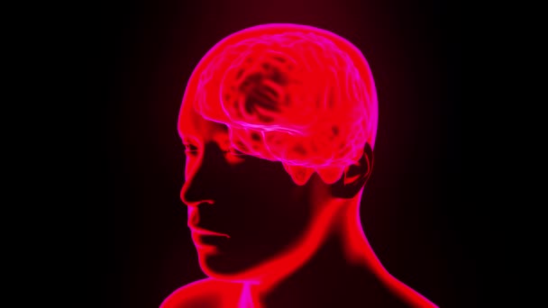 Gehirn-Hologramm mit Kopf-Rotationsschleife 4k — Stockvideo