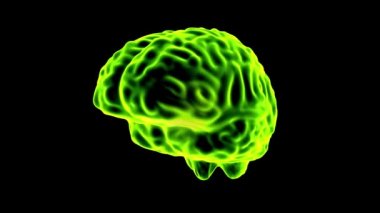 Beyin hologram döngü 4 k döndürme