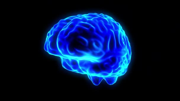 Hologramme cérébral boucle tournante 4k — Video