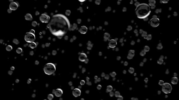 Капли воды дождь близко падающие DOF замедленной съемки 4K — стоковое видео