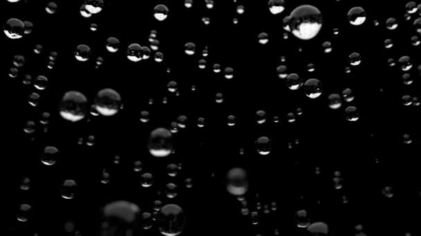 Gotas de agua lluvia cerca caída DOF cámara lenta 4K — Vídeos de Stock
