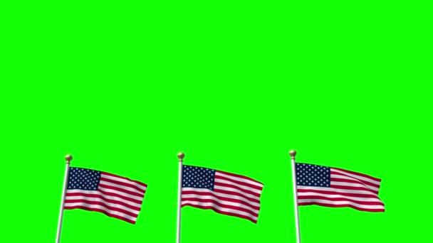 Etats-Unis Etats-Unis 3 drapeaux américains agitant l'écran vert CG Flare — Video