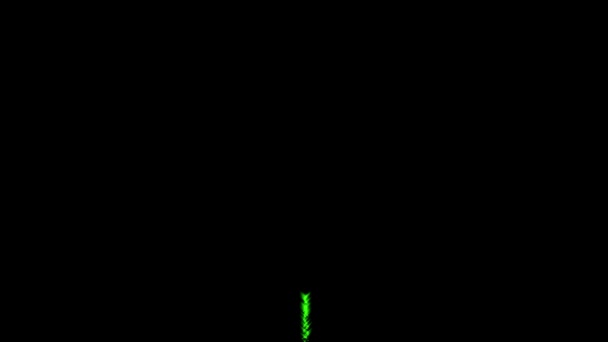 火箭砂浆庆典焰火燃放显示 7 月 4 日 11 月 5 日 4 k — 图库视频影像