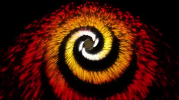 Fireworks pinwheel Catherine wheel celebration display 4th July 5th November 4K — Stock Video