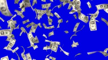 Düşen Paralar Finansal Kazanç ABD Amerikan Para Birimi Vergisi 4K Yağdır