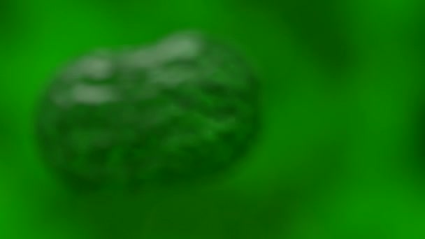 Cellules multipliant le sang du virus bactérien au microscope 4K 