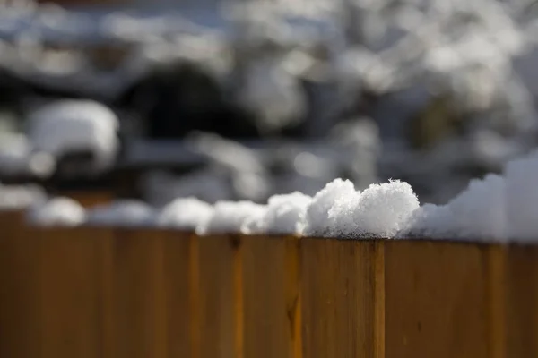 Zonovergoten sneeuw op de top van ceder hek in achtertuin — Stockfoto