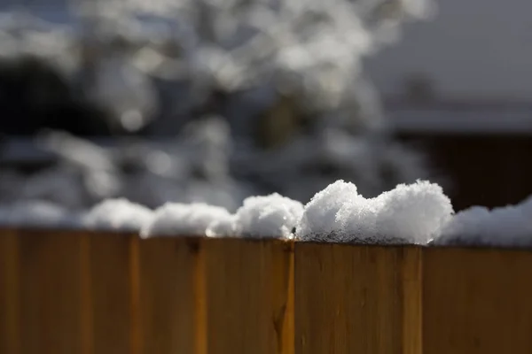 Neve illuminata dal sole in cima alla recinzione di cedro nel cortile — Foto Stock