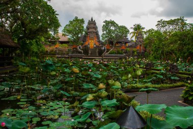 Lotus Temple. Ubud, Bali.