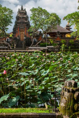 Lotus Temple. Ubud, Bali.