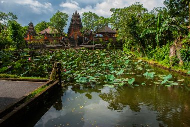 Lotus Temple. Ubud, Bali.
