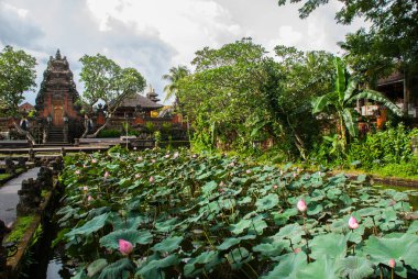 Lotus Temple. Ubud, Bali.