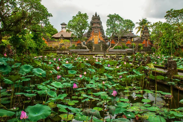 Lotus Temple. Ubud, Bali.