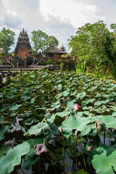 Lotus tempel. Ubud, Bali. — Stockfoto