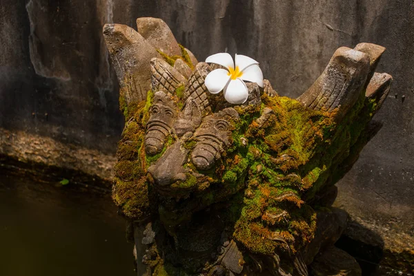 彫刻。水の宮殿 Udjung。インドネシア ・ バリ島 — ストック写真