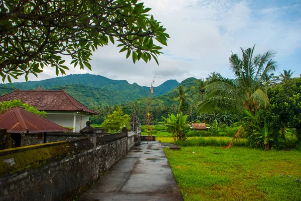 Beautiful landscape with fields and trees in the city of Amed in Bali. — Stock Photo, Image