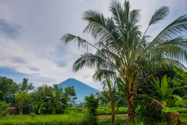 Scenic view of a Amed Bay in Bali with the volcano Mount Agung in the background. — Stock Photo, Image