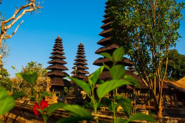 Pura taman ayun Tapınağı Bali, Endonezya.