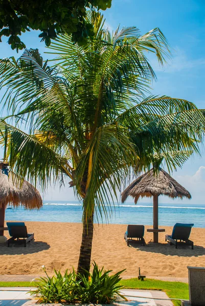 日光躺椅和遮阳伞在海滩上。巴厘岛，印度尼西亚，丹戎贝诺瓦。努沙杜阿. — 图库照片