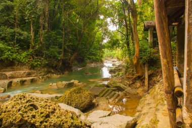şelale Ulusal yakınındaki taş Adası Bohol Park. Filipinler