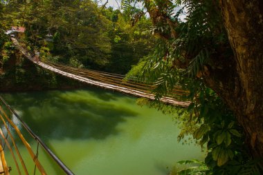 çikolata hills, bohol Adası, Filipinler