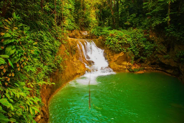 Głęboko w lesie wodospad Park Narodowy wyspa Bohol. Filipiny — Zdjęcie stockowe