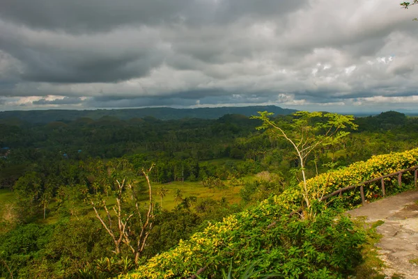 Çikolata hills, bohol Adası, Filipinler — Stok fotoğraf