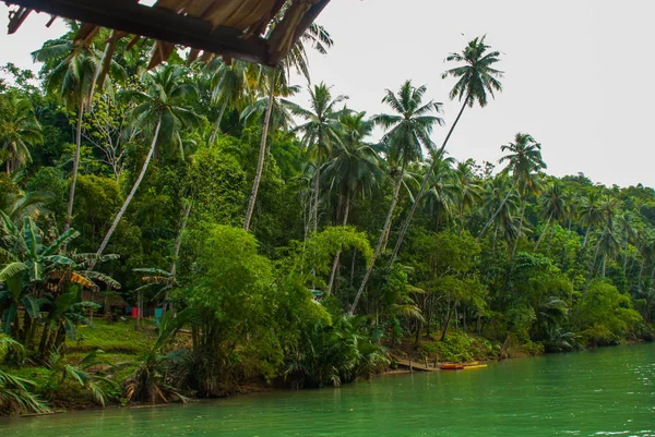 Río con palmeras, paisaje, isla de Bohol. Filipinas — Foto de Stock