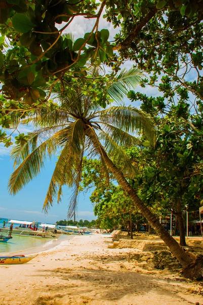 The white sand tropical beach of Panglao Island, Bohol. Philippines — Stock Photo, Image