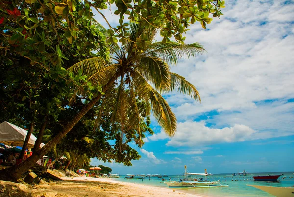 The white sand tropical beach of Panglao Island, Bohol. Philippines — Stock Photo, Image