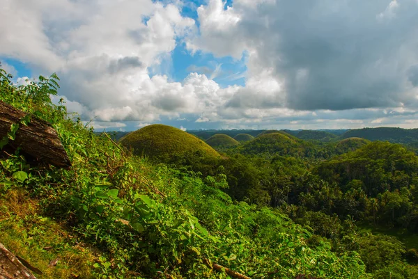 Çikolata hills, bohol Adası, Filipinler — Stok fotoğraf