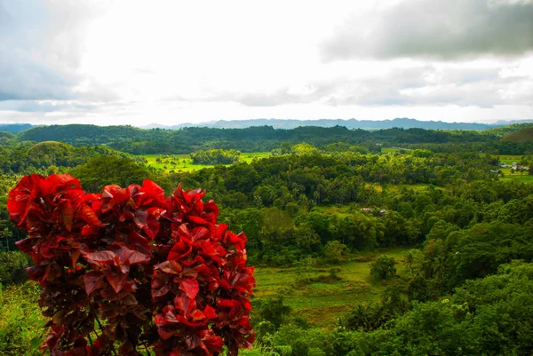 Chocolate Hills, Bohol Island, Filipinas — Fotografia de Stock