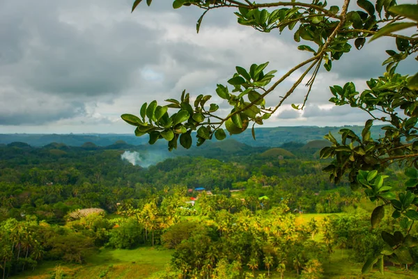 Chocolade heuvels, Bohol op het gelijknamige eiland, Filippijnen — Stockfoto