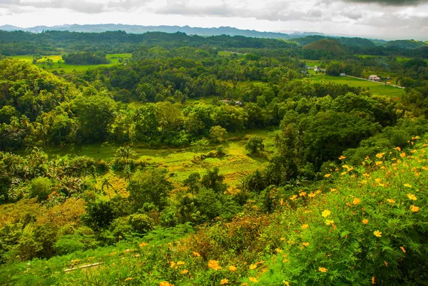 Çikolata hills, bohol Adası, Filipinler — Stok fotoğraf