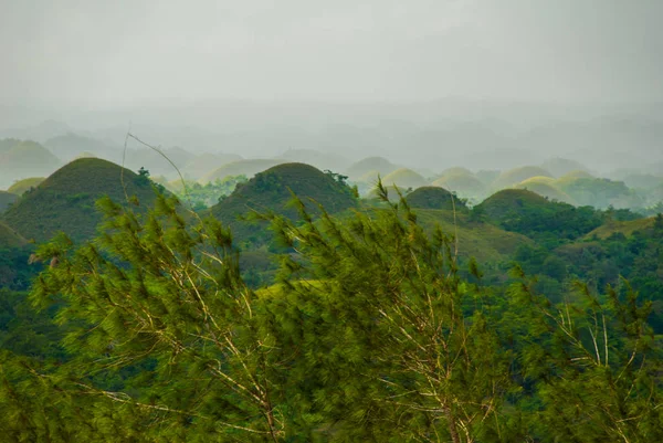 Chocolate Hills, Bohol Island, Filipinas — Foto de Stock