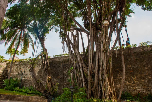 Fort San Pedro à Cebu, Philippines — Photo