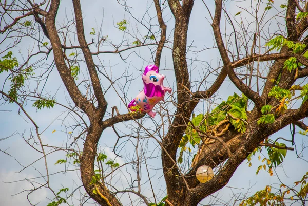 Bola rosa na forma do cavalo na árvore — Fotografia de Stock