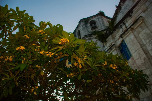 Iglesia Católica Nuestra Señora de la Inmaculada Concepción en Oslob en Sebu, Filipinas — Foto de Stock